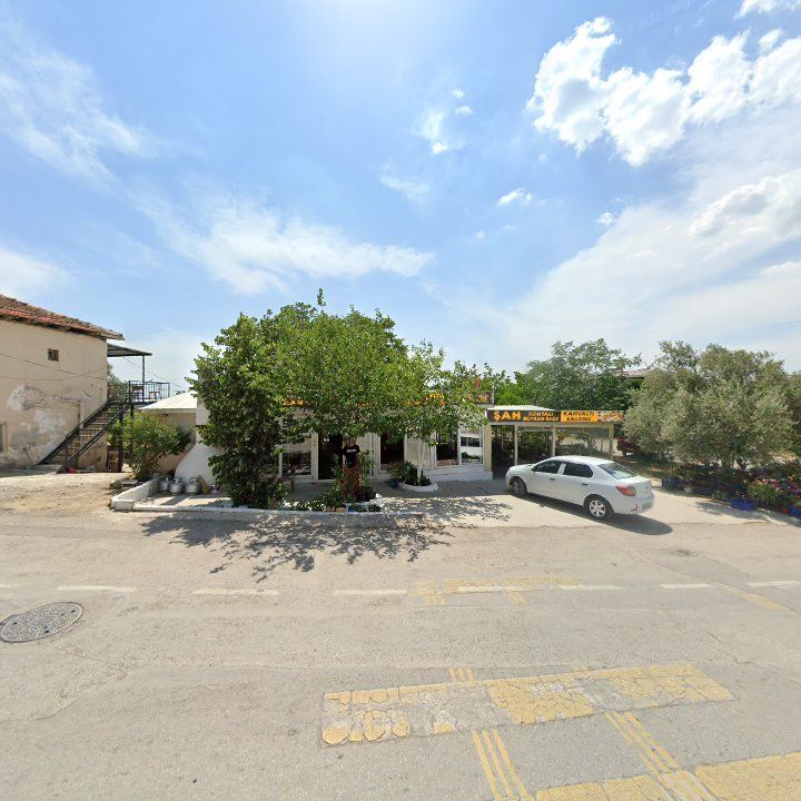 Fotoğraf 9