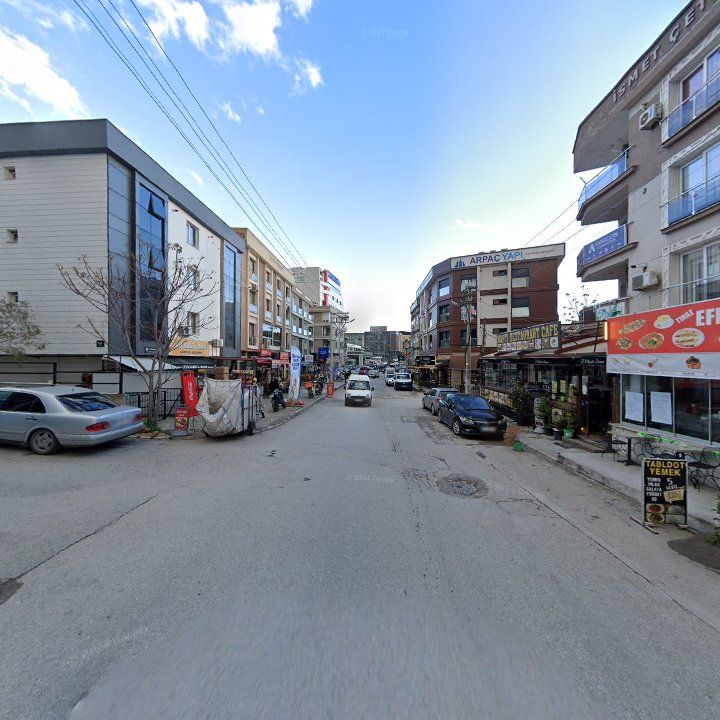 Fotoğraf 11