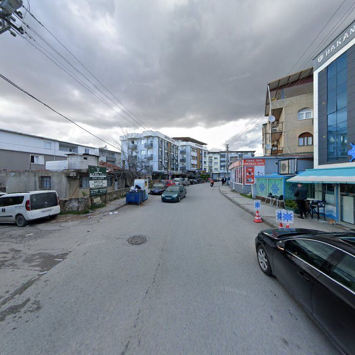 Fotoğraf 13