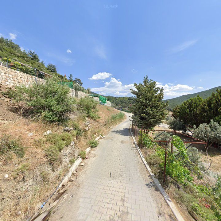 Fotoğraf 10