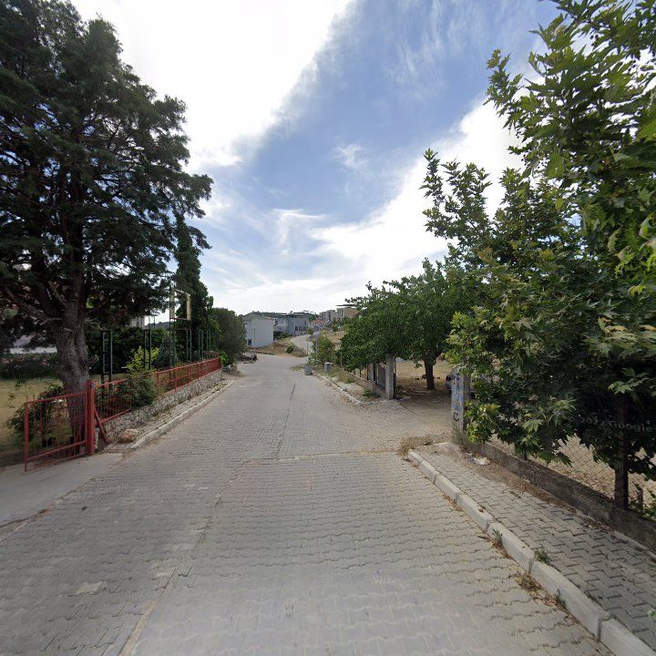 Fotoğraf 7