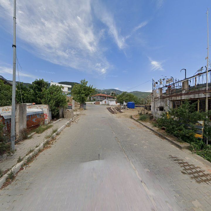 Fotoğraf 9