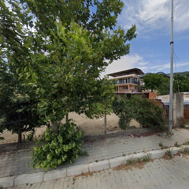 Fotoğraf 8