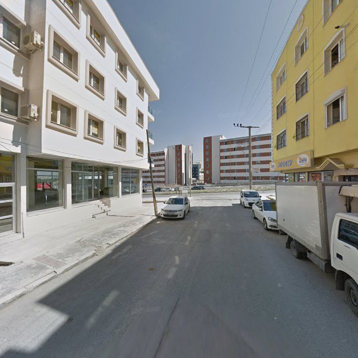 Fotoğraf 7