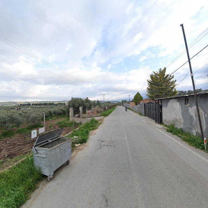 Fotoğraf 8