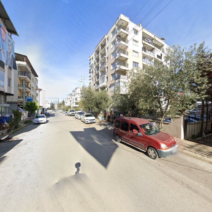 Fotoğraf 7