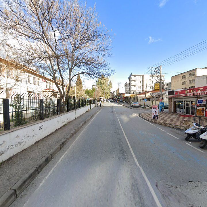 Fotoğraf 10