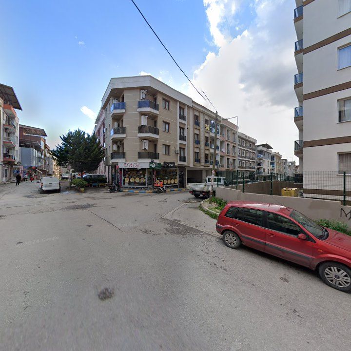 Fotoğraf 9