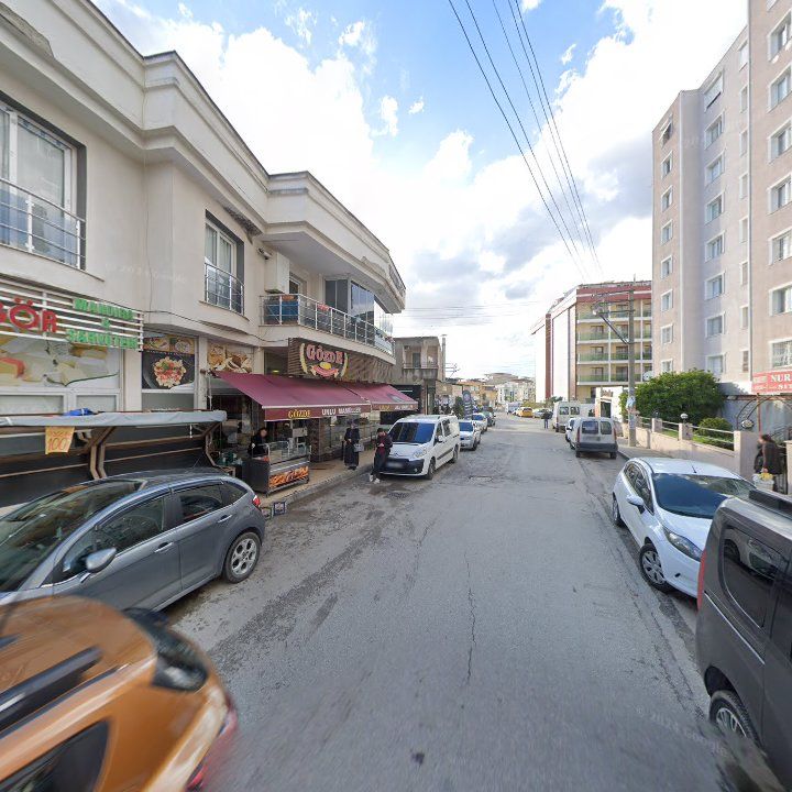 Fotoğraf 6