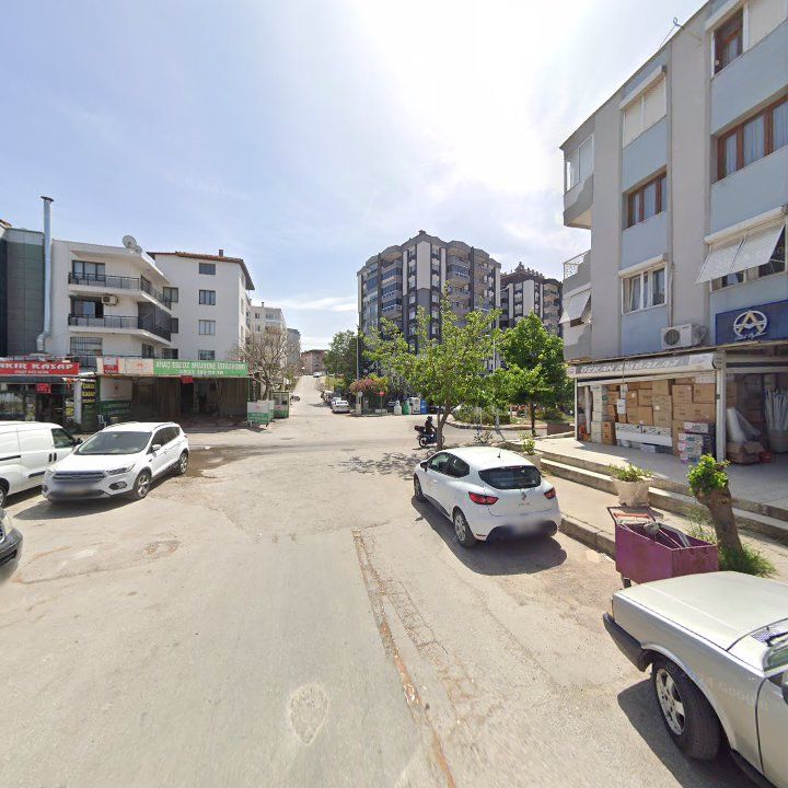 Fotoğraf 7