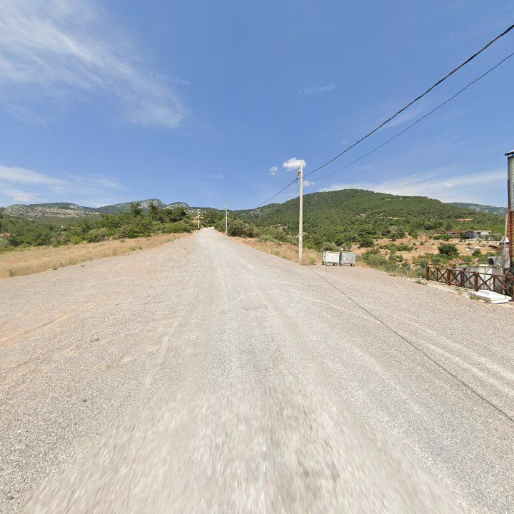 Fotoğraf 10