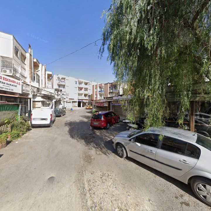 Fotoğraf 6