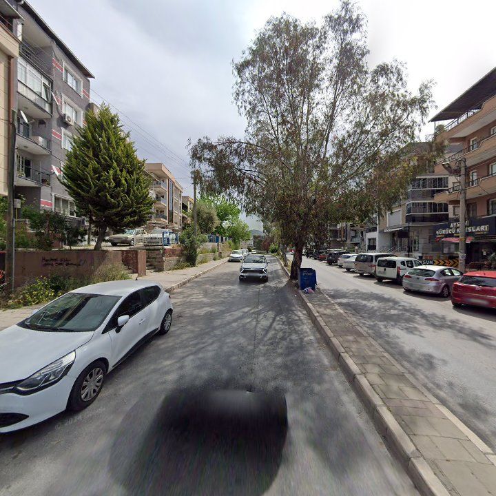 Fotoğraf 7