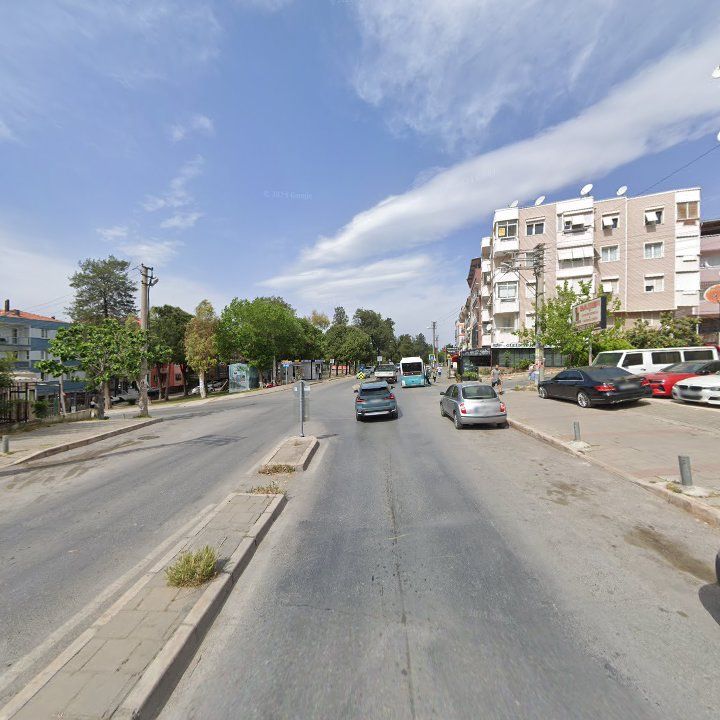 Fotoğraf 9