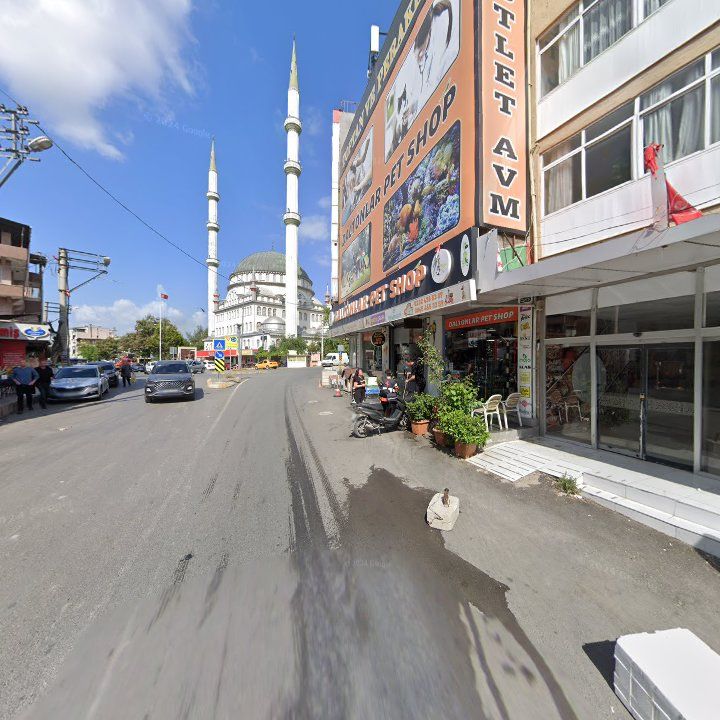 Fotoğraf 8