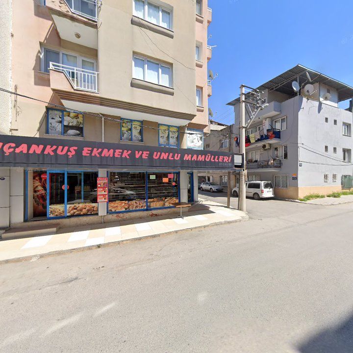 Fotoğraf 3