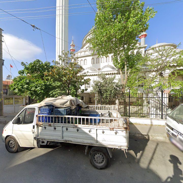 Fotoğraf 9