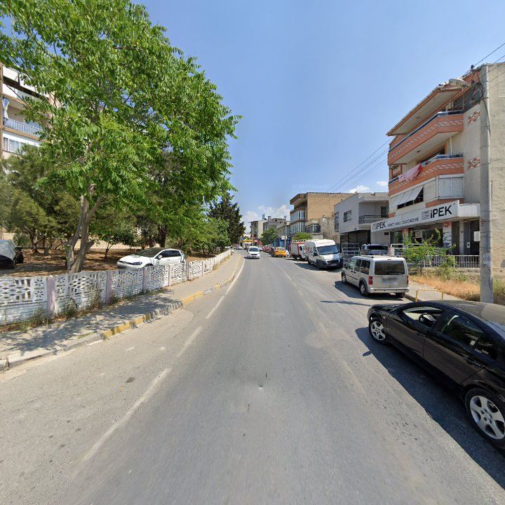 Fotoğraf 10