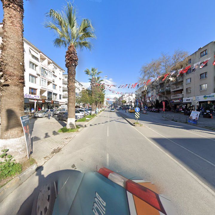 Fotoğraf 8