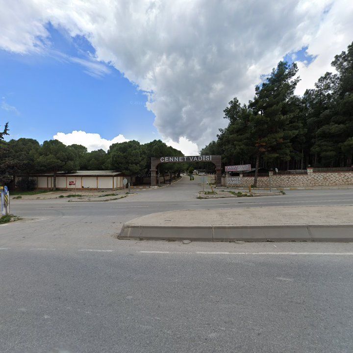 Fotoğraf 9