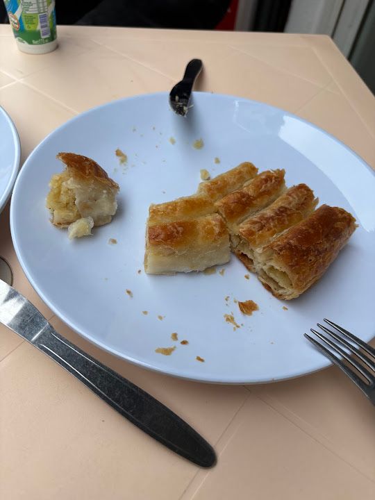 Vatra boşnak böreğı