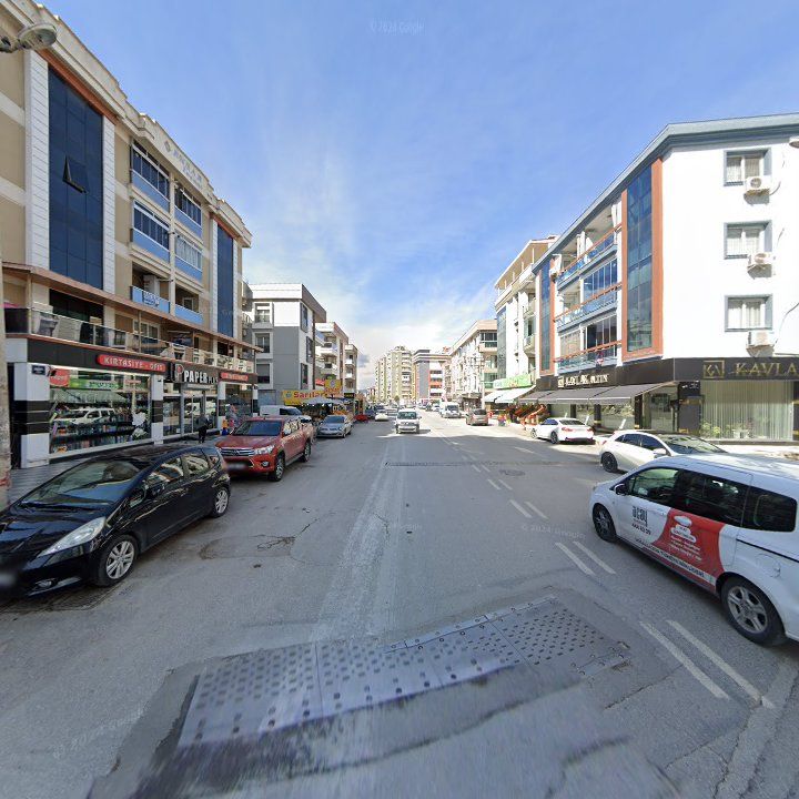Fotoğraf 7