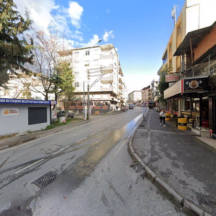 Fotoğraf 11