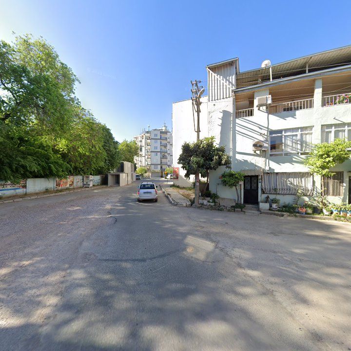 Fotoğraf 8
