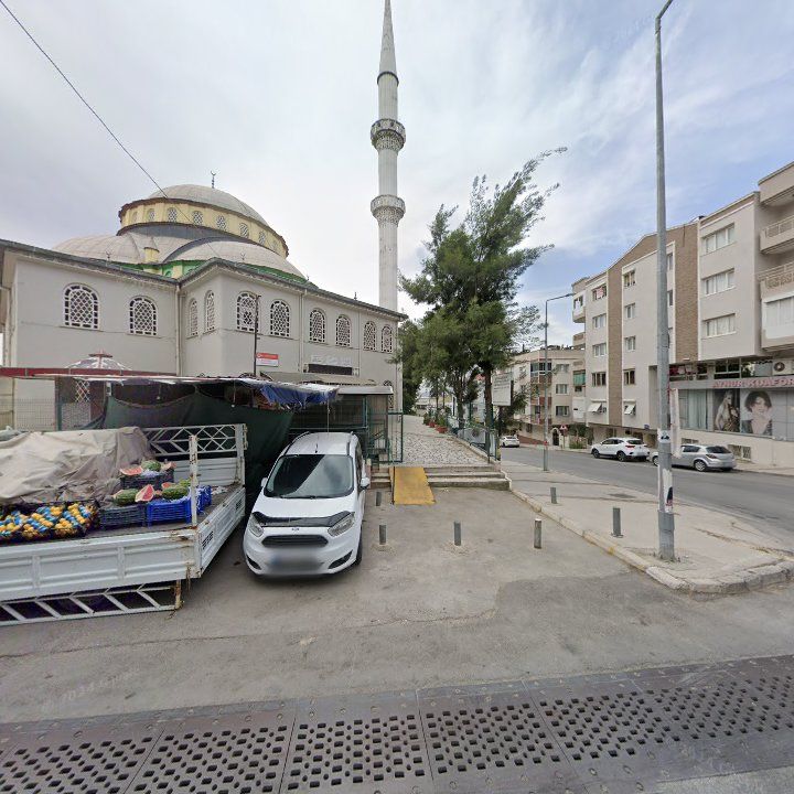 Fotoğraf 7