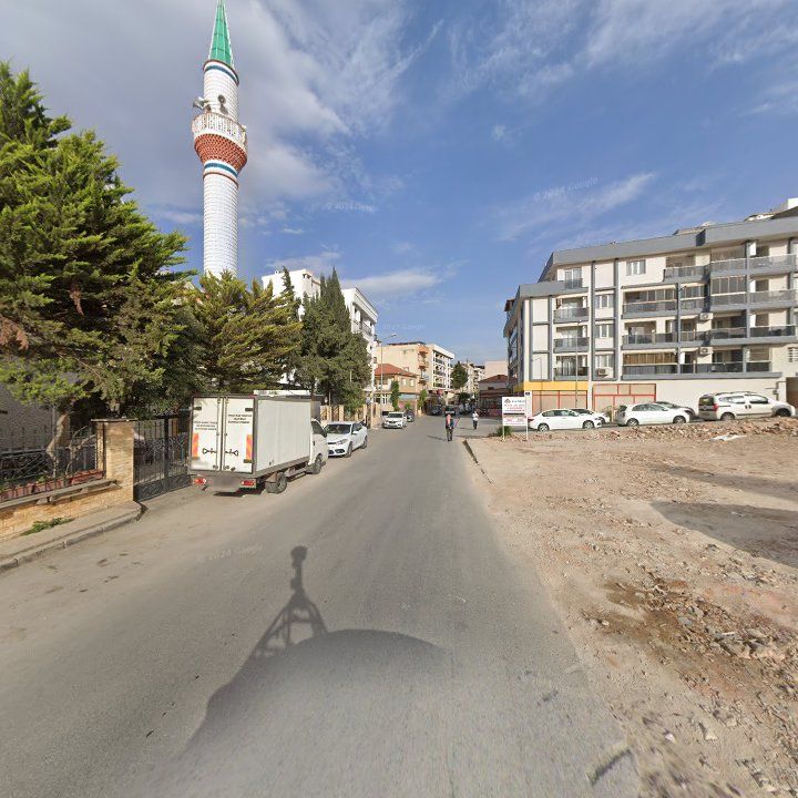 Fotoğraf 8
