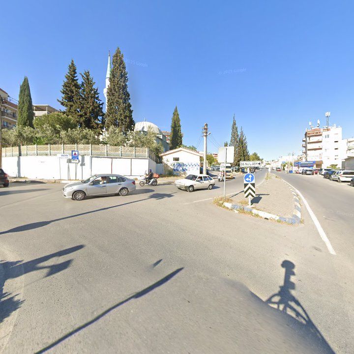 Fotoğraf 12