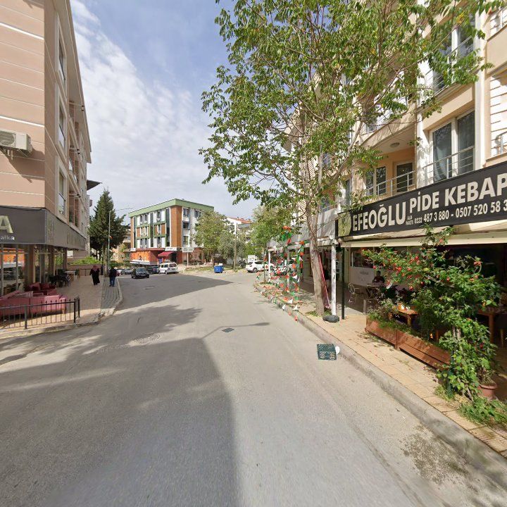 Fotoğraf 11
