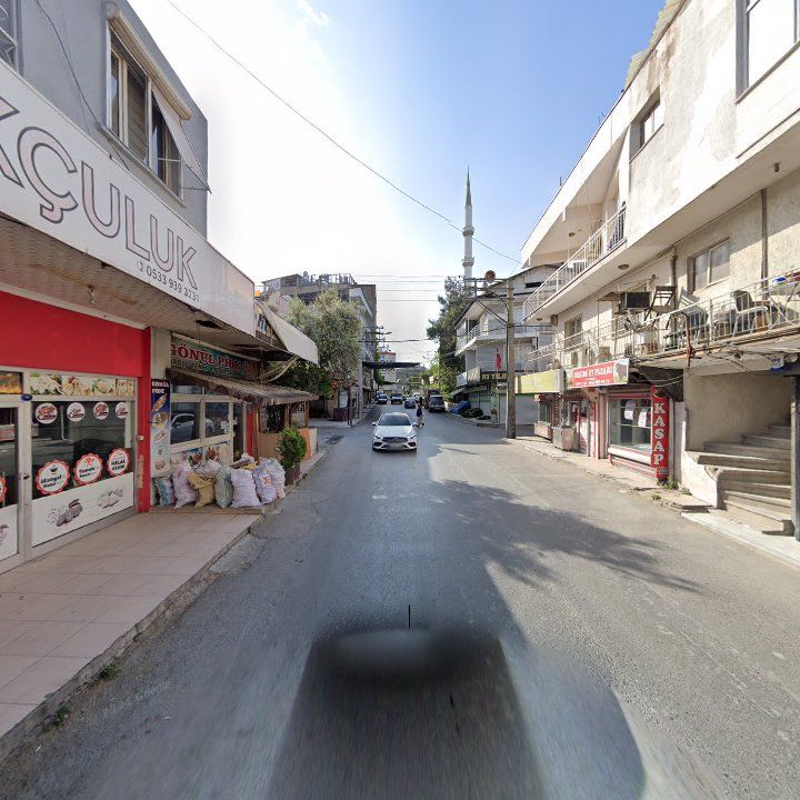 Fotoğraf 5