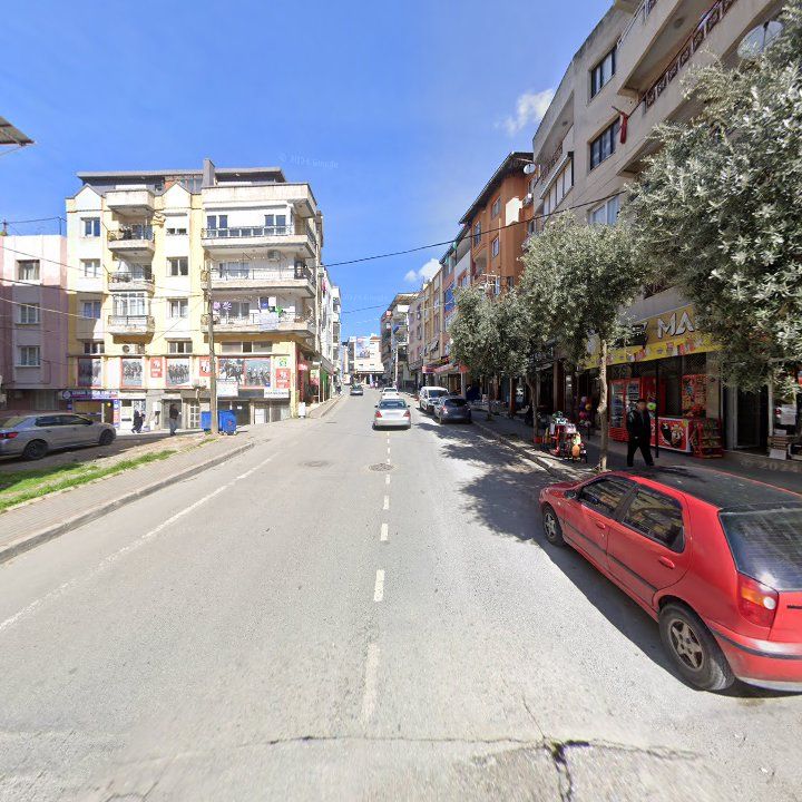 Fotoğraf 9
