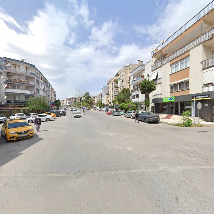 Fotoğraf 11