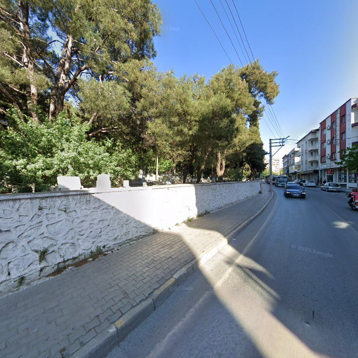 Fotoğraf 11