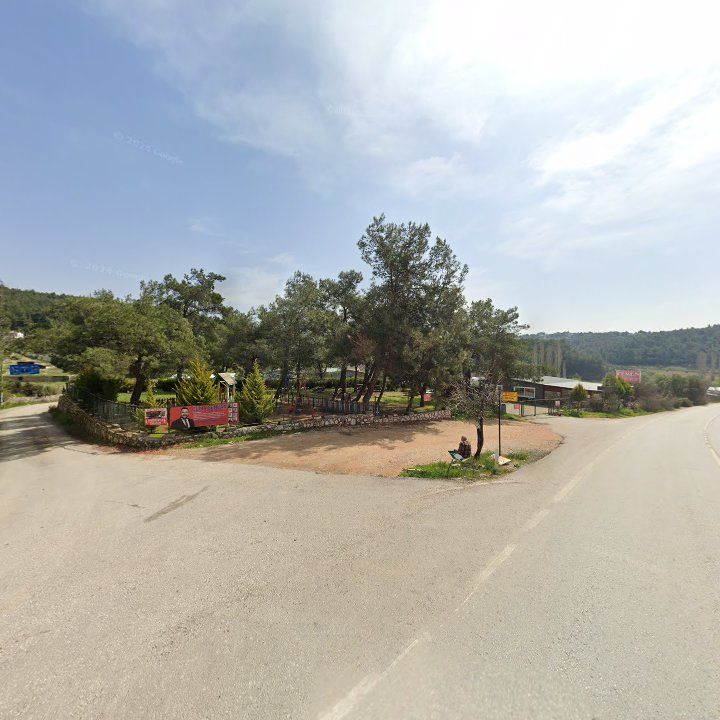 Fotoğraf 10