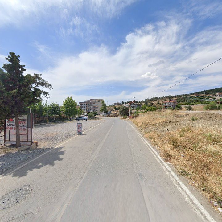 Fotoğraf 9