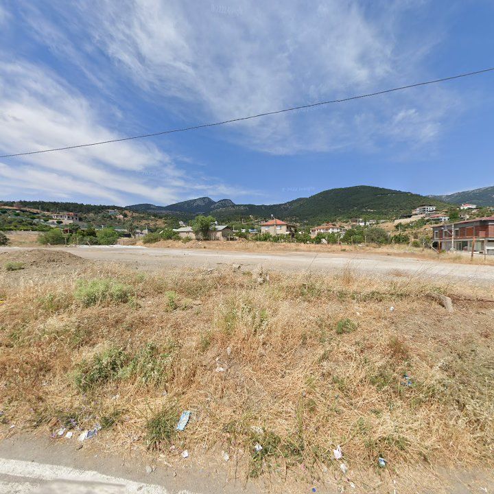 Fotoğraf 10