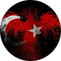 Budak Aslantas