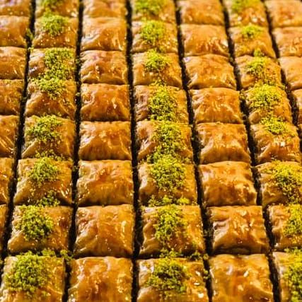 Fotoğraf 22