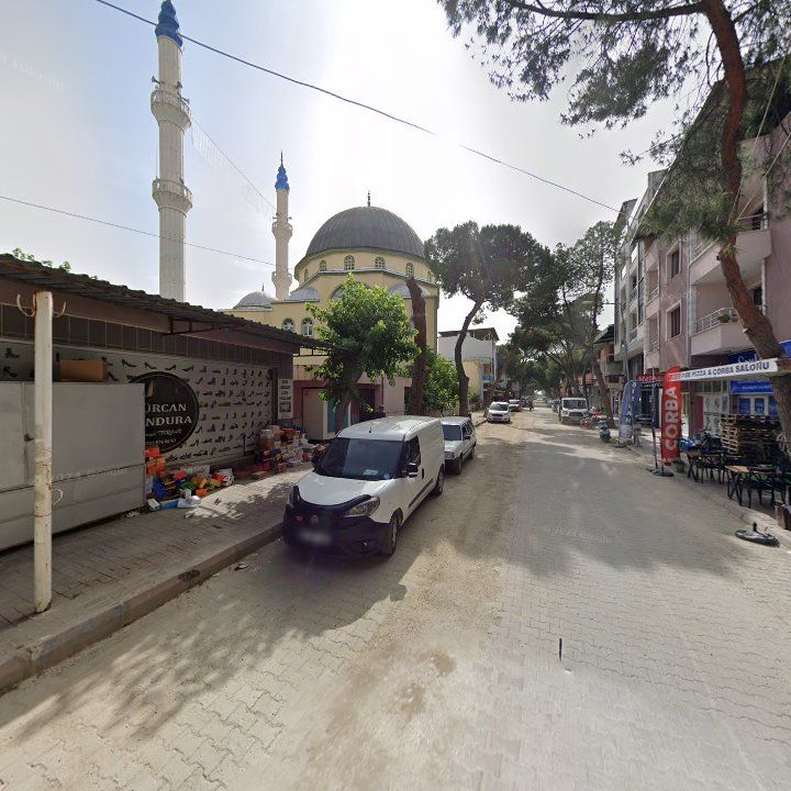 Fotoğraf 3