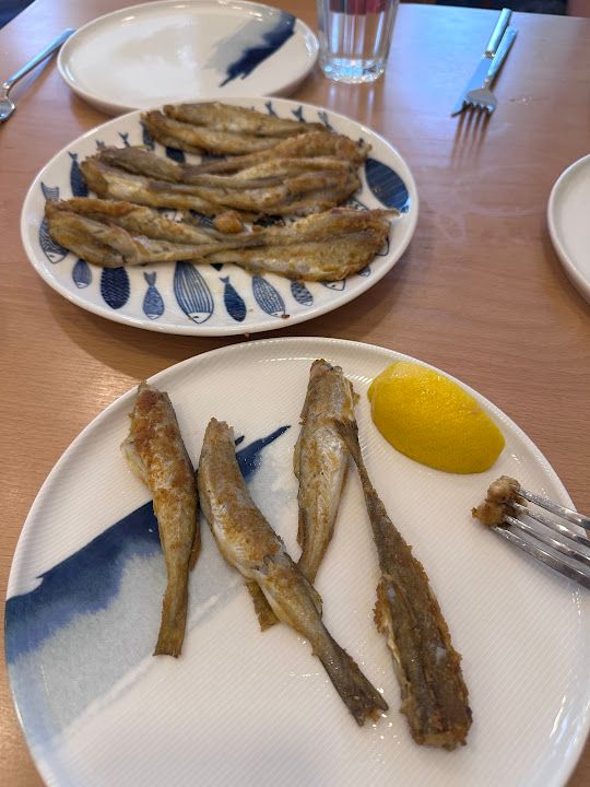 Bi Balık Bulancak