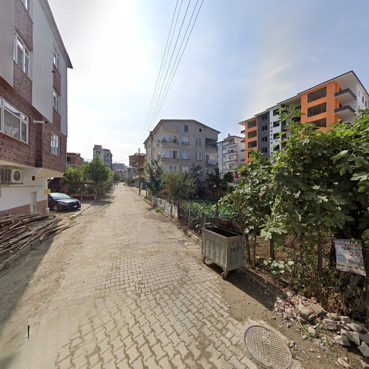 Fotoğraf 3