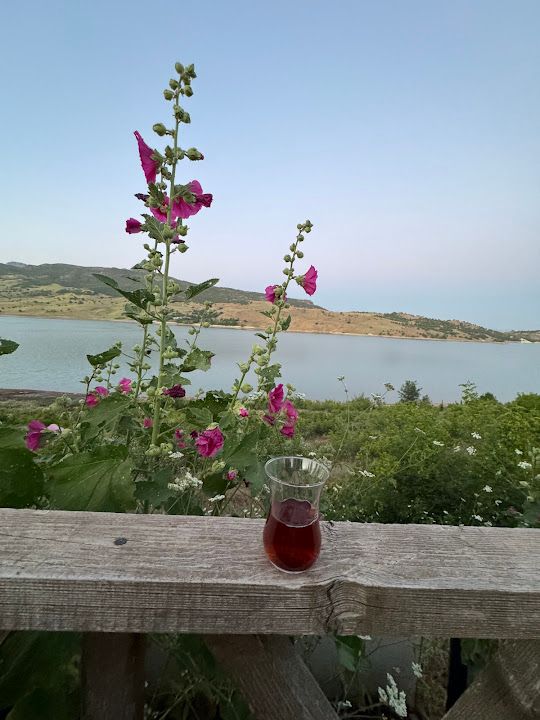 Yorum fotoğrafı 4