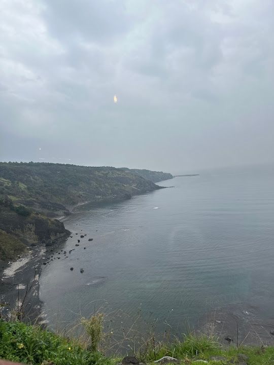Fotoğraf 55