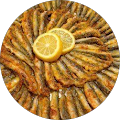 bulent bodur