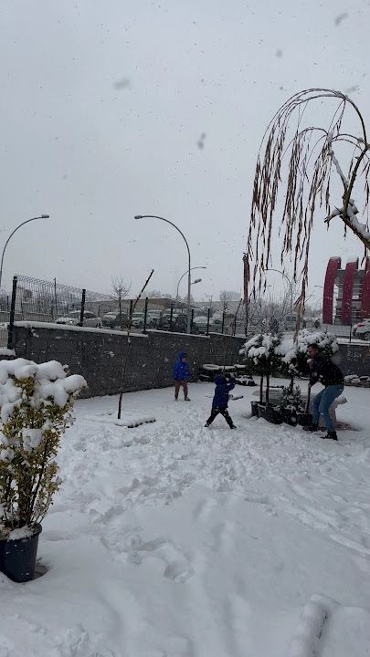 Fotoğraf 14