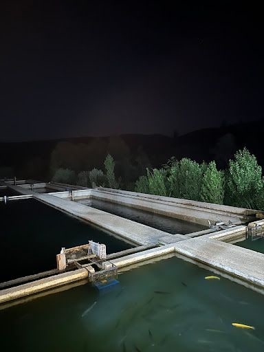 Yorum fotoğrafı 5