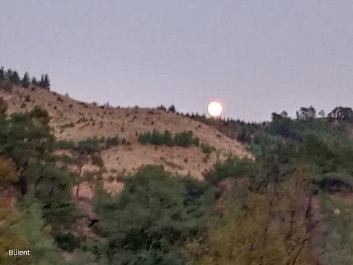 Yorum fotoğrafı 5